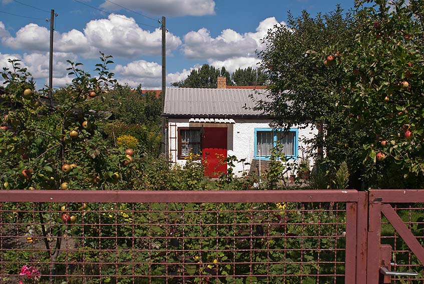 Berliner Schrebergarten 6