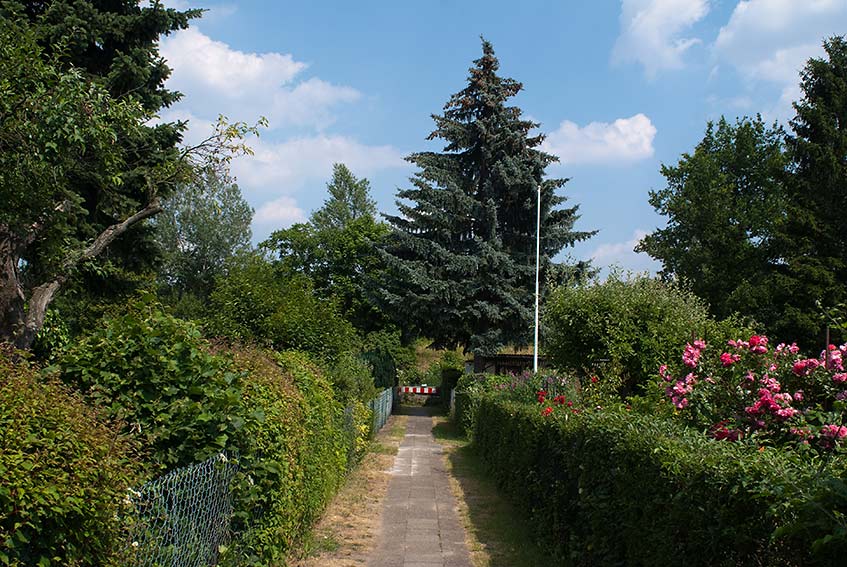 Berliner Schrebergarten 7