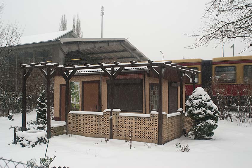 Berliner Schrebergarten 21
