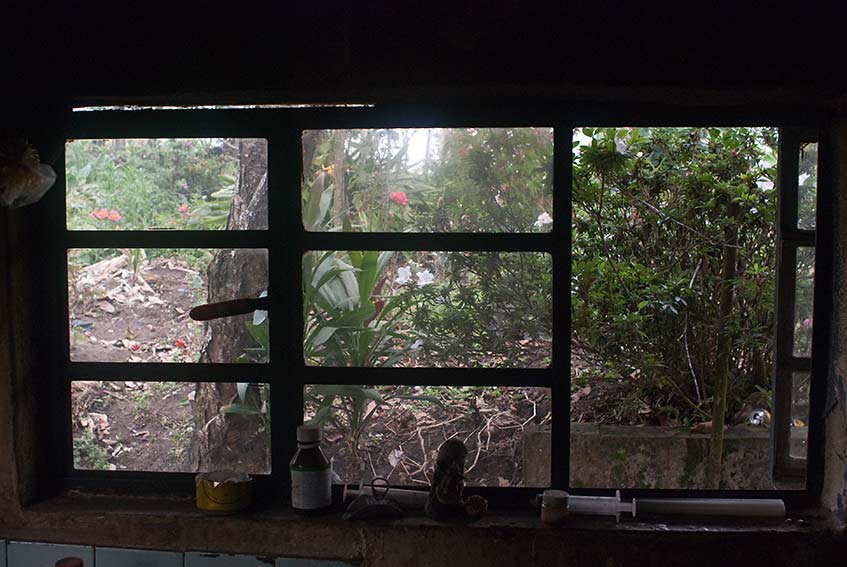 Ventana