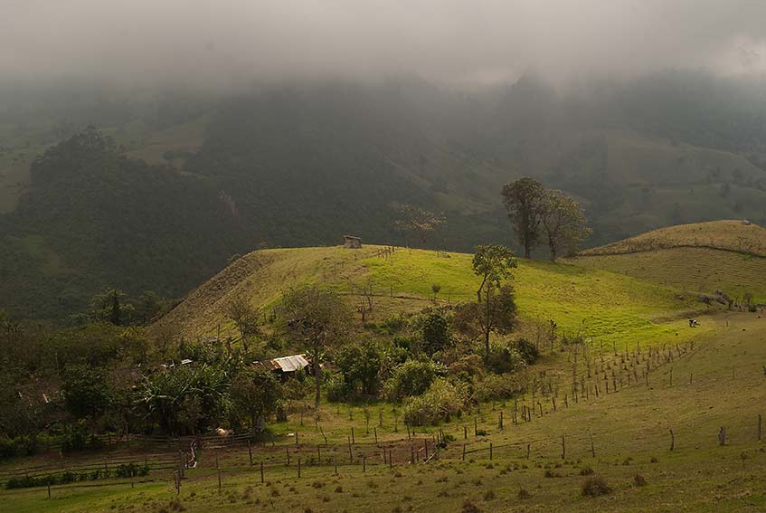 La Tierra de Doa Cayetana